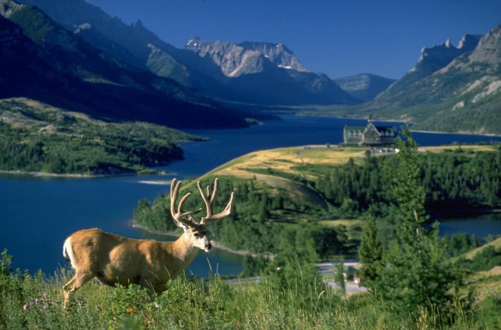 Bayshore Inn & Spa Waterton Park Extérieur photo