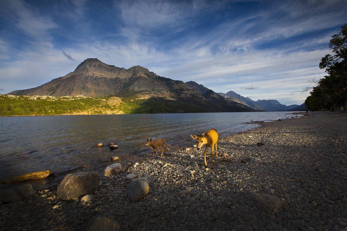 Bayshore Inn & Spa Waterton Park Extérieur photo